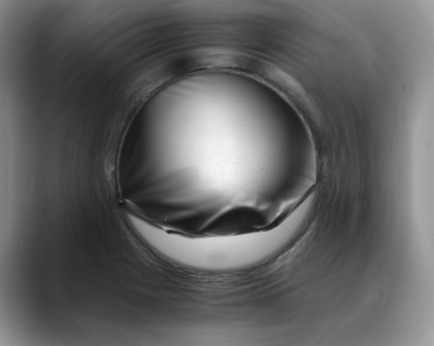 X0000088441225200706121503