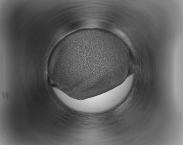 X0000088441226200706121503
