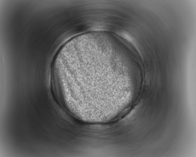 X0000088441227200706121503