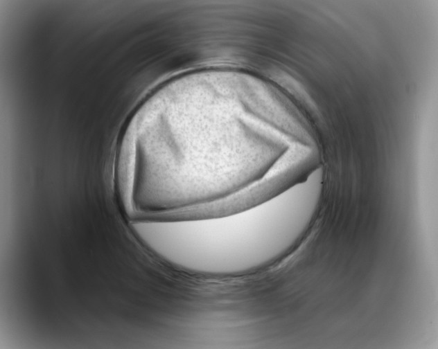 X0000088441228200706121503