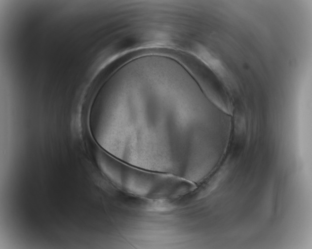 X0000088441230200706121503