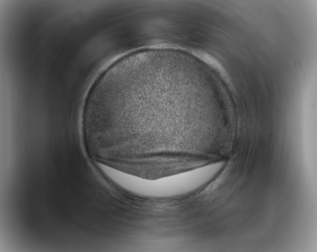X0000088441231200706121503