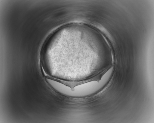 X0000088441232200706121503