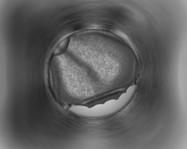 X0000088441235200706121503