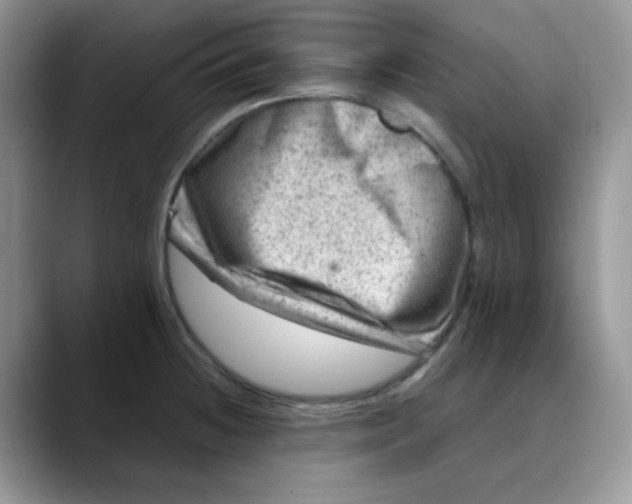 X0000088441236200706121503