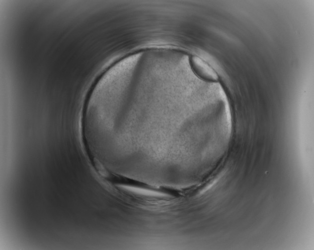 X0000088441237200706121503