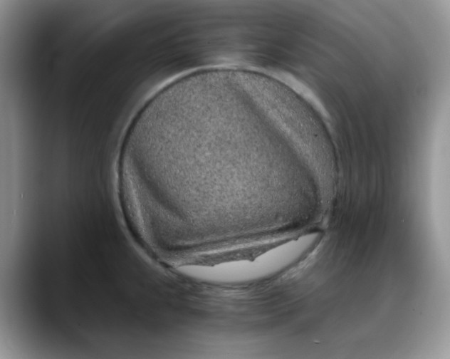 X0000088441239200706121503