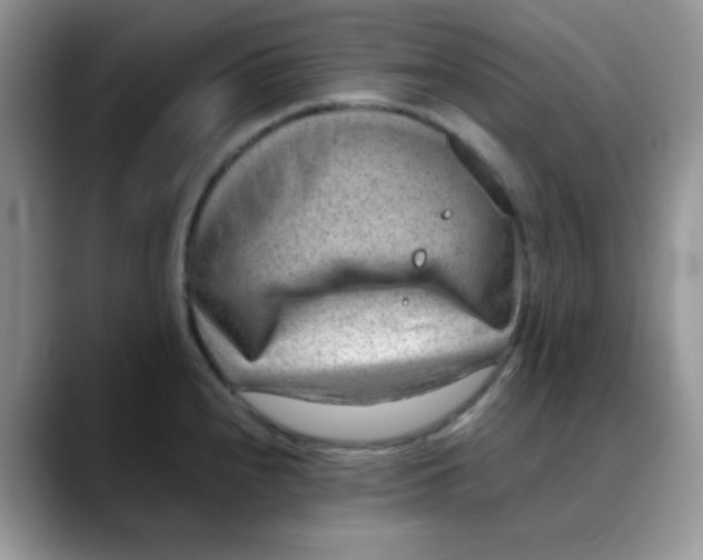 X0000088441240200706121503