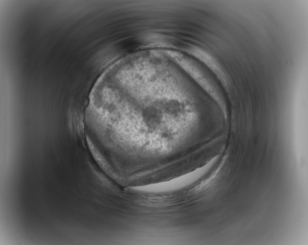 X0000088441241200706121503