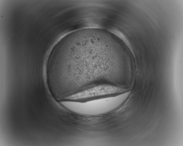 X0000088441243200706121503