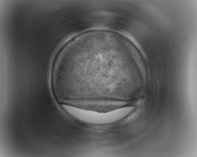 X0000088441245200706121503