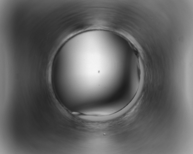 X0000088441246200706121503