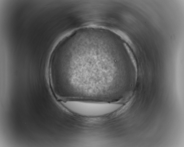 X0000088441247200706121503