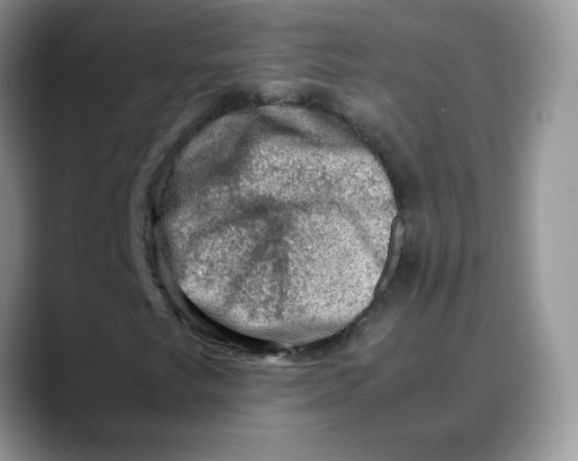 X0000088441249200706121502