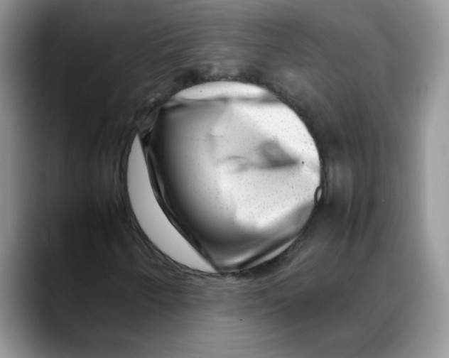 X0000088441250200706121502