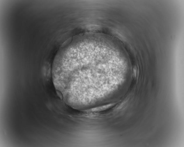 X0000088441251200706121502