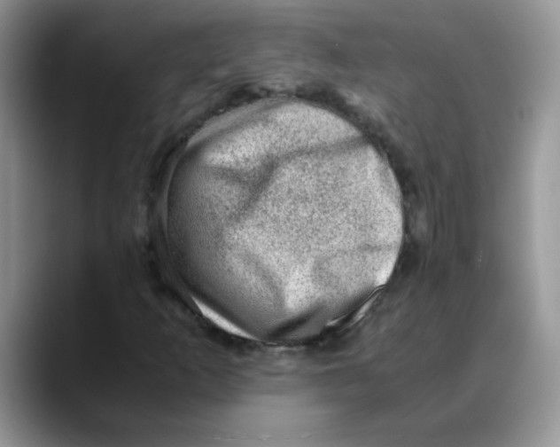 X0000088441253200706121502