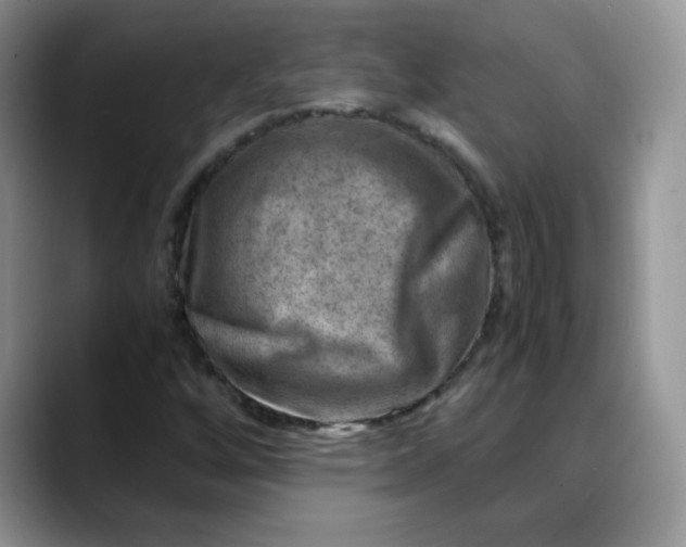 X0000088441256200706121502