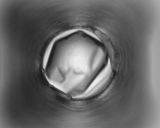 X0000088441257200706121502
