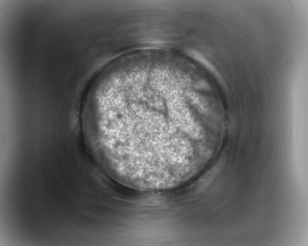 X0000088441259200706121502