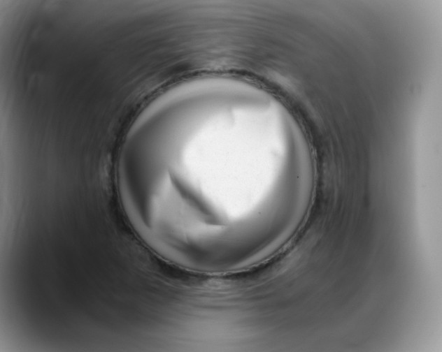 X0000088441265200706121502