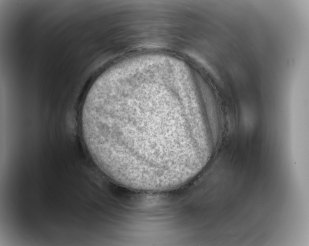 X0000088441266200706121502