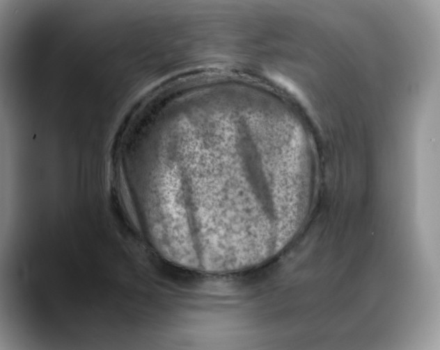 X0000088441267200706121502