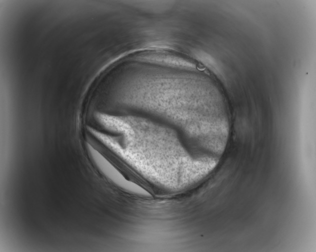 X0000088441268200706121502