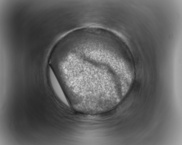 X0000088441271200706121502