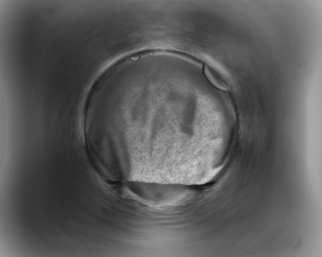 X0000088441272200706121502