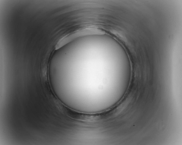 X0000088441273200706121502