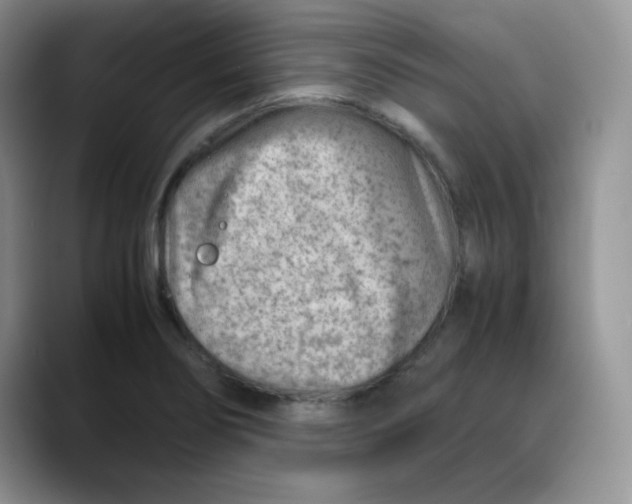 X0000088441274200706121502