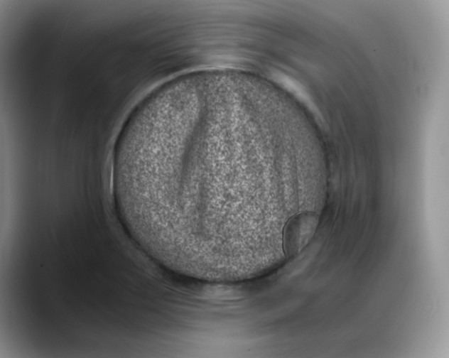 X0000088441275200706121502