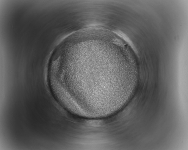X0000088441277200706121502