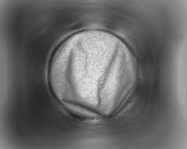 X0000088441278200706121502