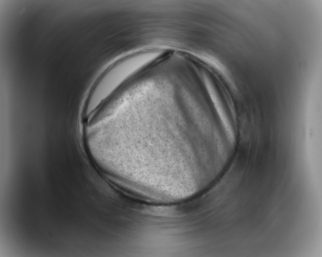 X0000088441280200706121502