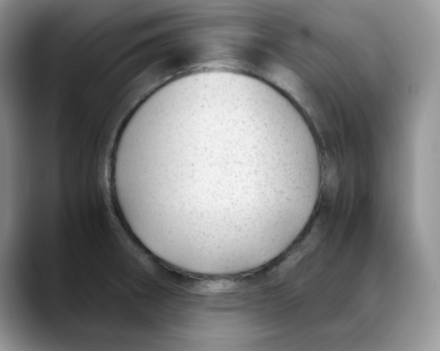 X0000088441282200706121502