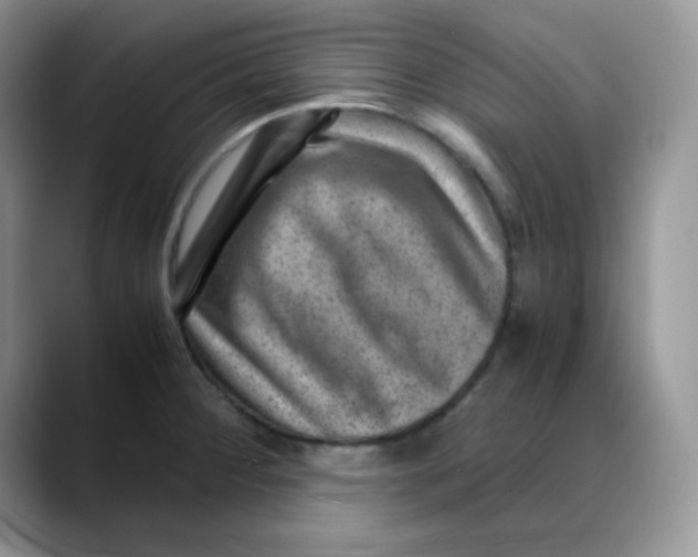 X0000088441284200706121502