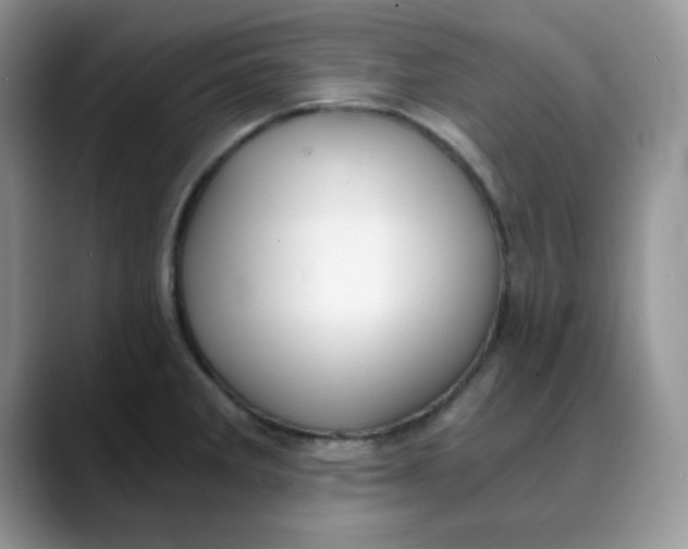 X0000088441285200706121502