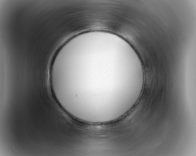 X0000088441286200706121502