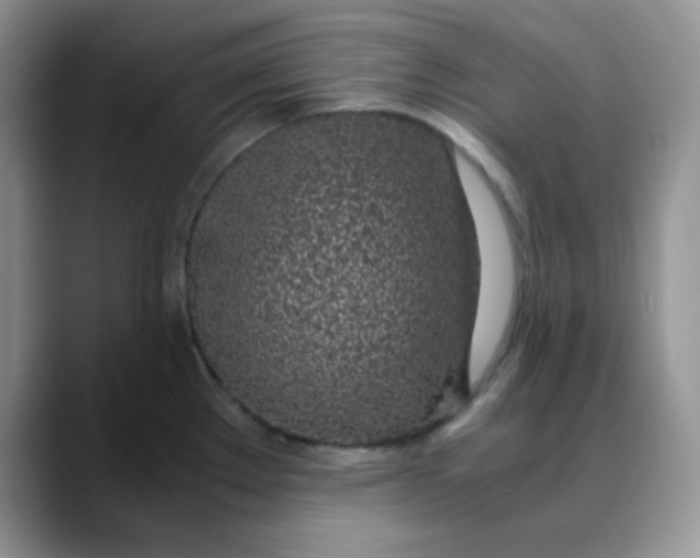 X0000088441289200706121502