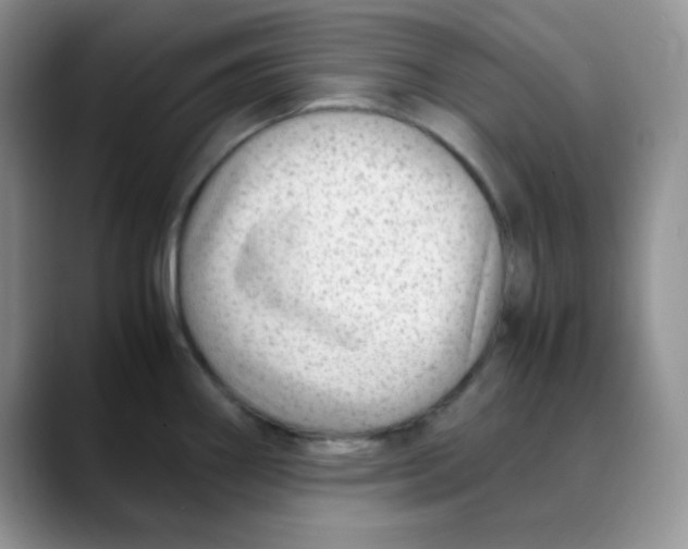 X0000088441290200706121502