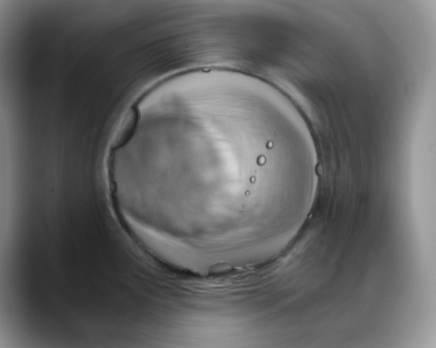 X0000088441291200706121502