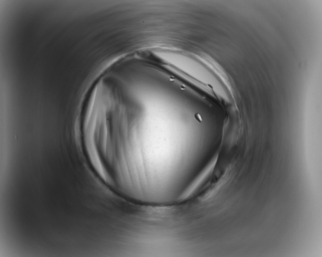 X0000088441293200706121502