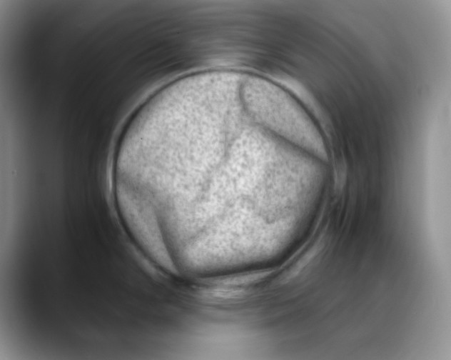 X0000088441294200706121502