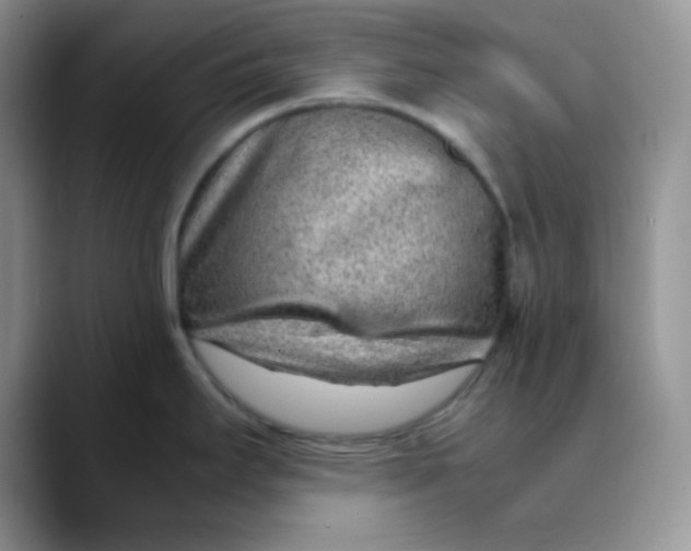 X0000088441295200706121502