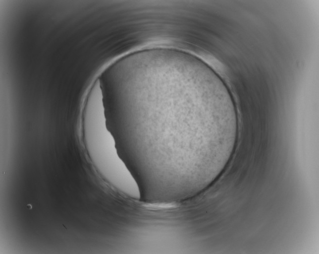 X0000088441296200706121502