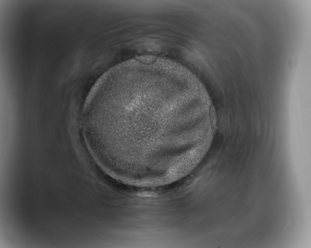 X0000088441297200706121501