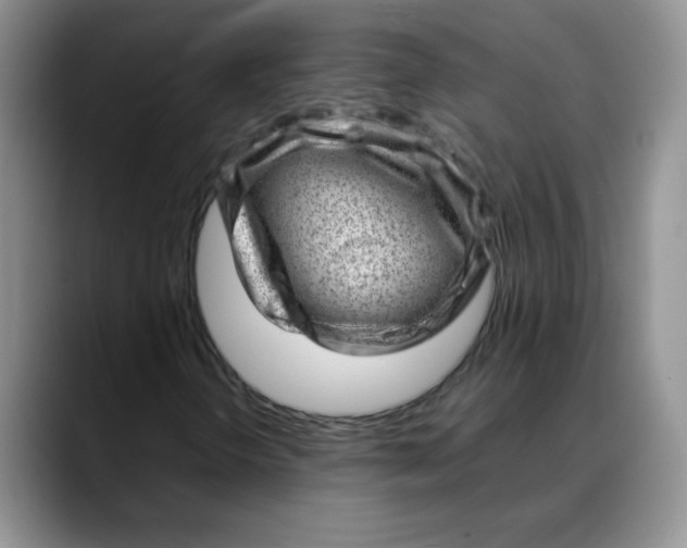 X0000088441298200706121501