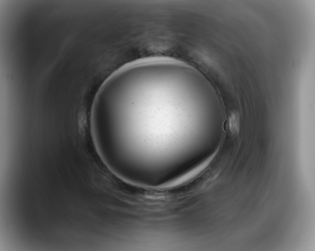 X0000088441299200706121501